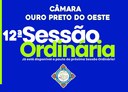 Veja o que será deliberado na 12ª Sessão Ordinária que acontecerá nesta Quarta-Feira (22/04/2026)